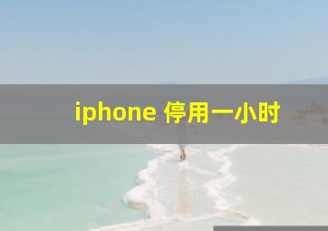 iphone 停用一小时